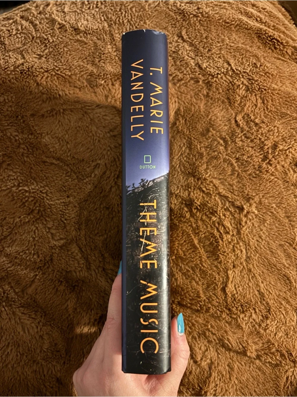 Theme Music by T. Marie Vandelly Hardcover Book